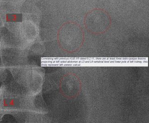 09022011-kubwithlabel